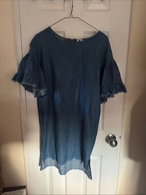 Denim Blue Ruffle Sleeve Mini Dress